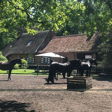 De Swaenhoeve Zoersel Exteriér fotografie