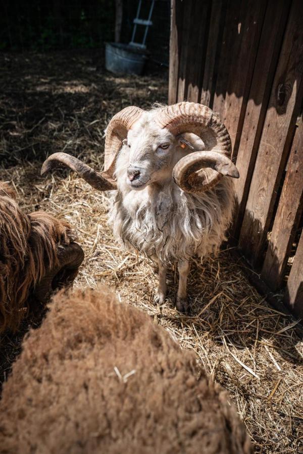 De Swaenhoeve Zoersel Exteriér fotografie