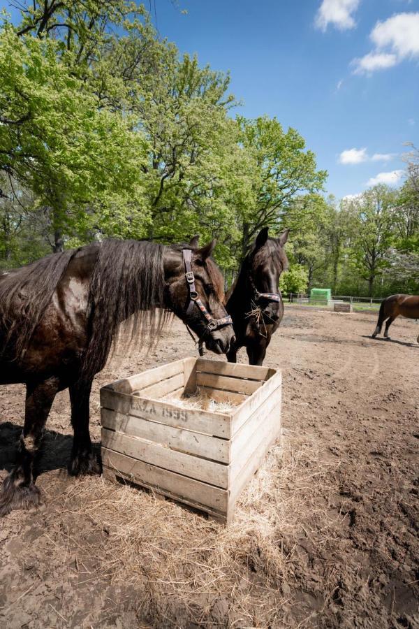 De Swaenhoeve Zoersel Exteriér fotografie