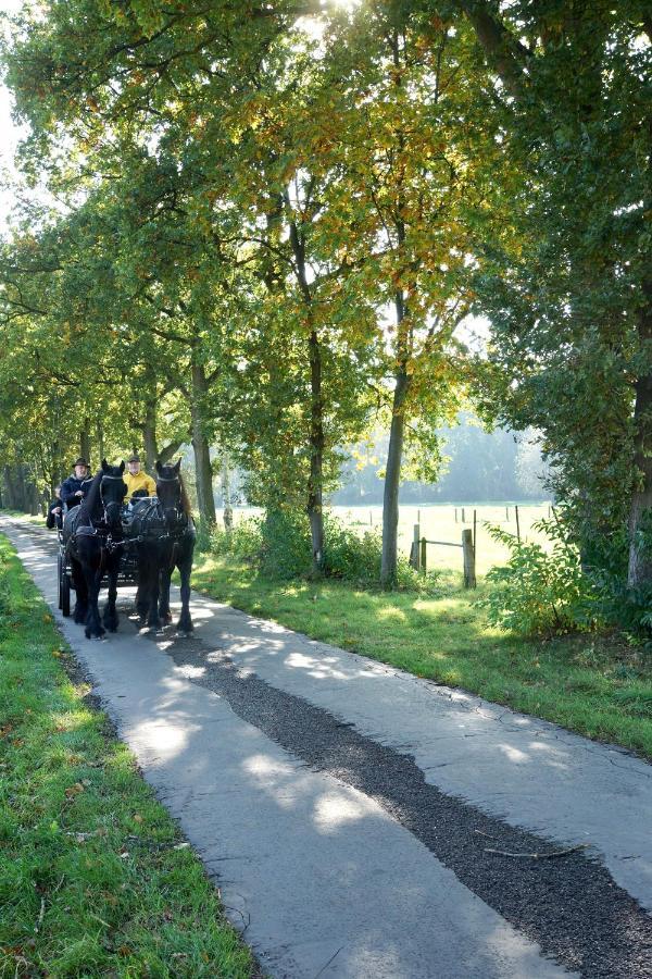 De Swaenhoeve Zoersel Exteriér fotografie