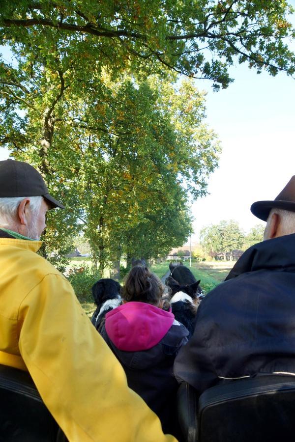 De Swaenhoeve Zoersel Exteriér fotografie