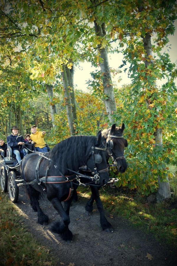 De Swaenhoeve Zoersel Exteriér fotografie