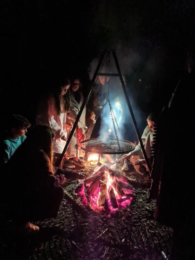 De Swaenhoeve Zoersel Exteriér fotografie
