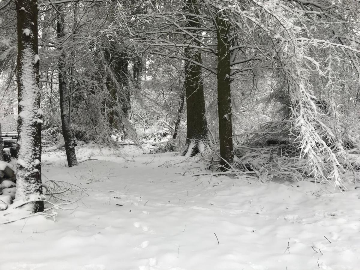 De Swaenhoeve Zoersel Exteriér fotografie