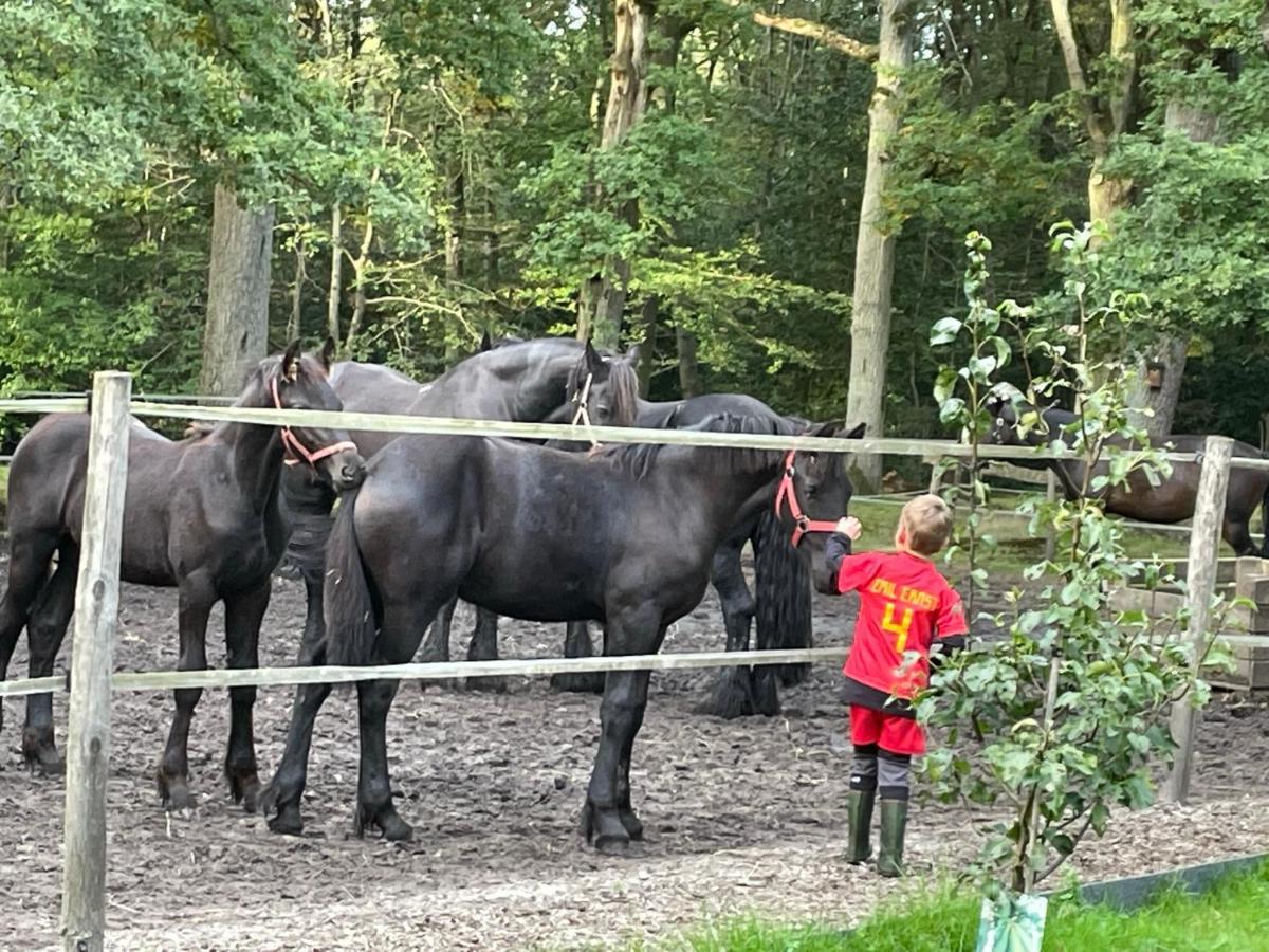 De Swaenhoeve Zoersel Exteriér fotografie